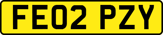 FE02PZY