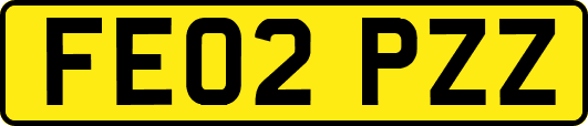 FE02PZZ