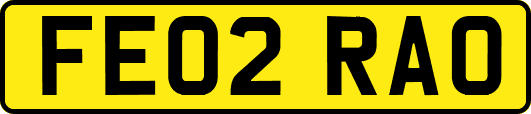 FE02RAO