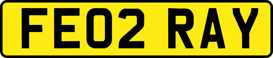 FE02RAY