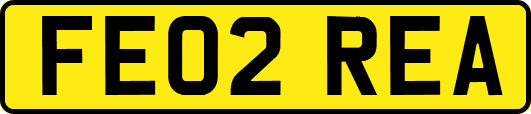 FE02REA