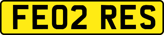 FE02RES