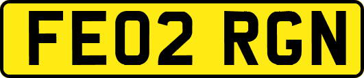 FE02RGN