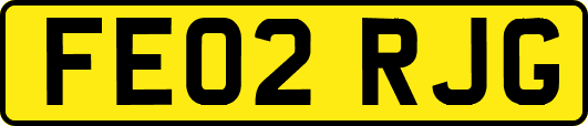 FE02RJG