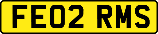 FE02RMS