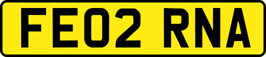 FE02RNA