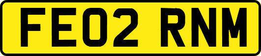 FE02RNM