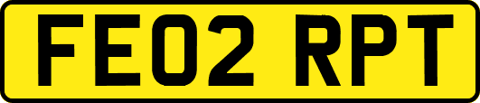 FE02RPT