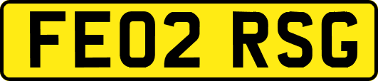 FE02RSG
