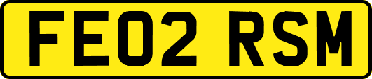 FE02RSM
