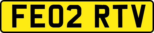 FE02RTV