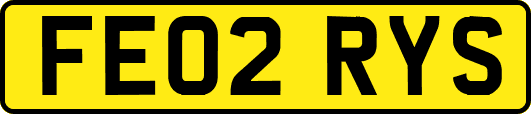 FE02RYS
