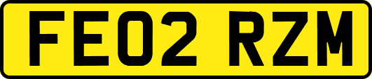 FE02RZM