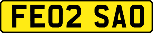 FE02SAO