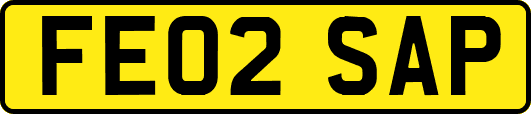FE02SAP