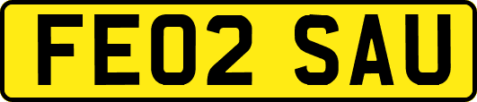 FE02SAU