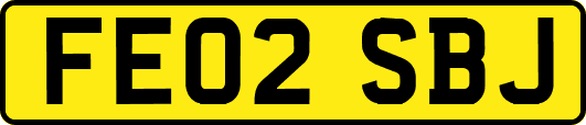 FE02SBJ