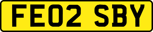 FE02SBY
