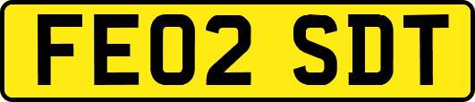 FE02SDT