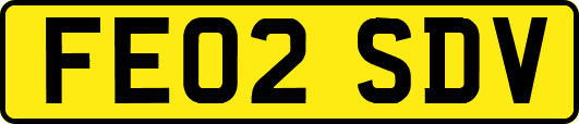 FE02SDV