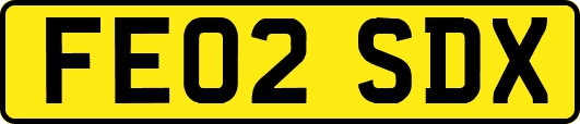 FE02SDX