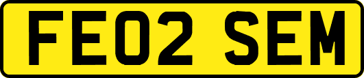 FE02SEM