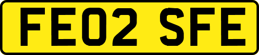 FE02SFE