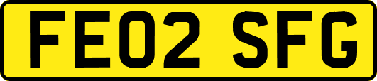 FE02SFG
