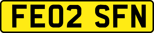 FE02SFN