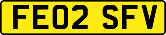 FE02SFV