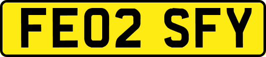 FE02SFY