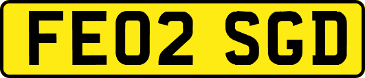 FE02SGD