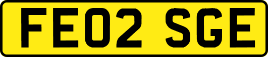 FE02SGE