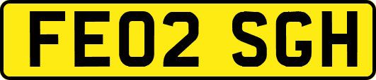FE02SGH