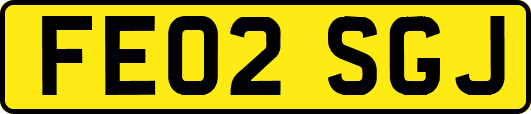 FE02SGJ