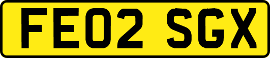 FE02SGX