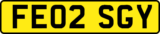 FE02SGY