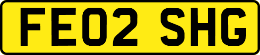 FE02SHG