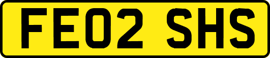 FE02SHS