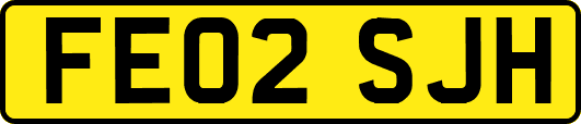 FE02SJH