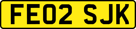 FE02SJK