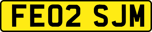 FE02SJM