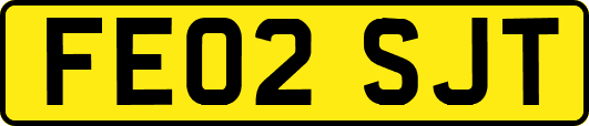 FE02SJT