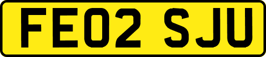 FE02SJU
