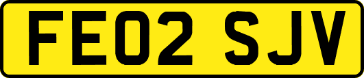 FE02SJV