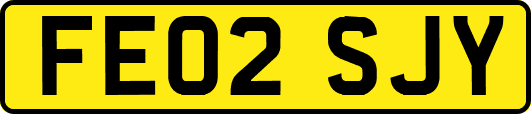 FE02SJY