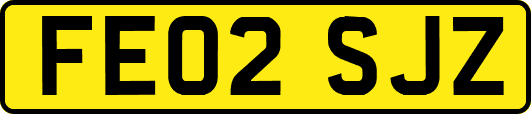 FE02SJZ