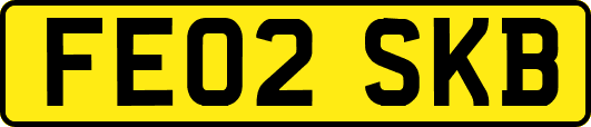 FE02SKB