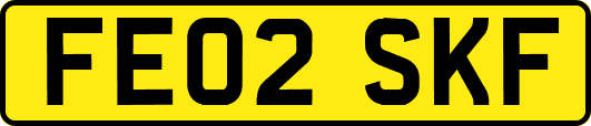 FE02SKF