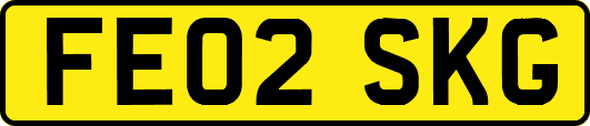 FE02SKG